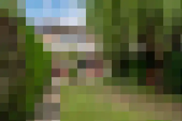 Spoorstraat 9 Westervoort thumbnail 32