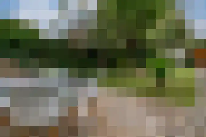 Spoorstraat 9 Westervoort thumbnail 4