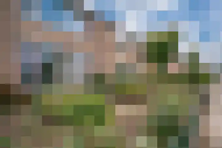 Spoorstraat 9 Westervoort thumbnail 7