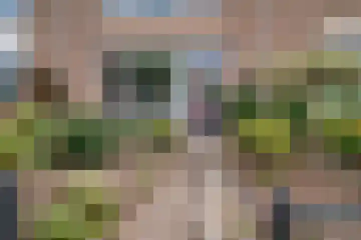 Spoorstraat 9 Westervoort thumbnail 8