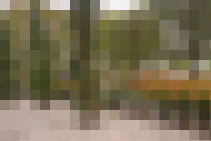 Spoorstraat 90 Susteren thumbnail 14