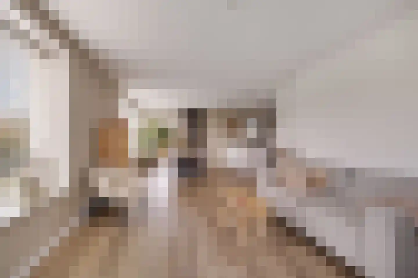 Spoorstrjitte 11 Deinum thumbnail 11