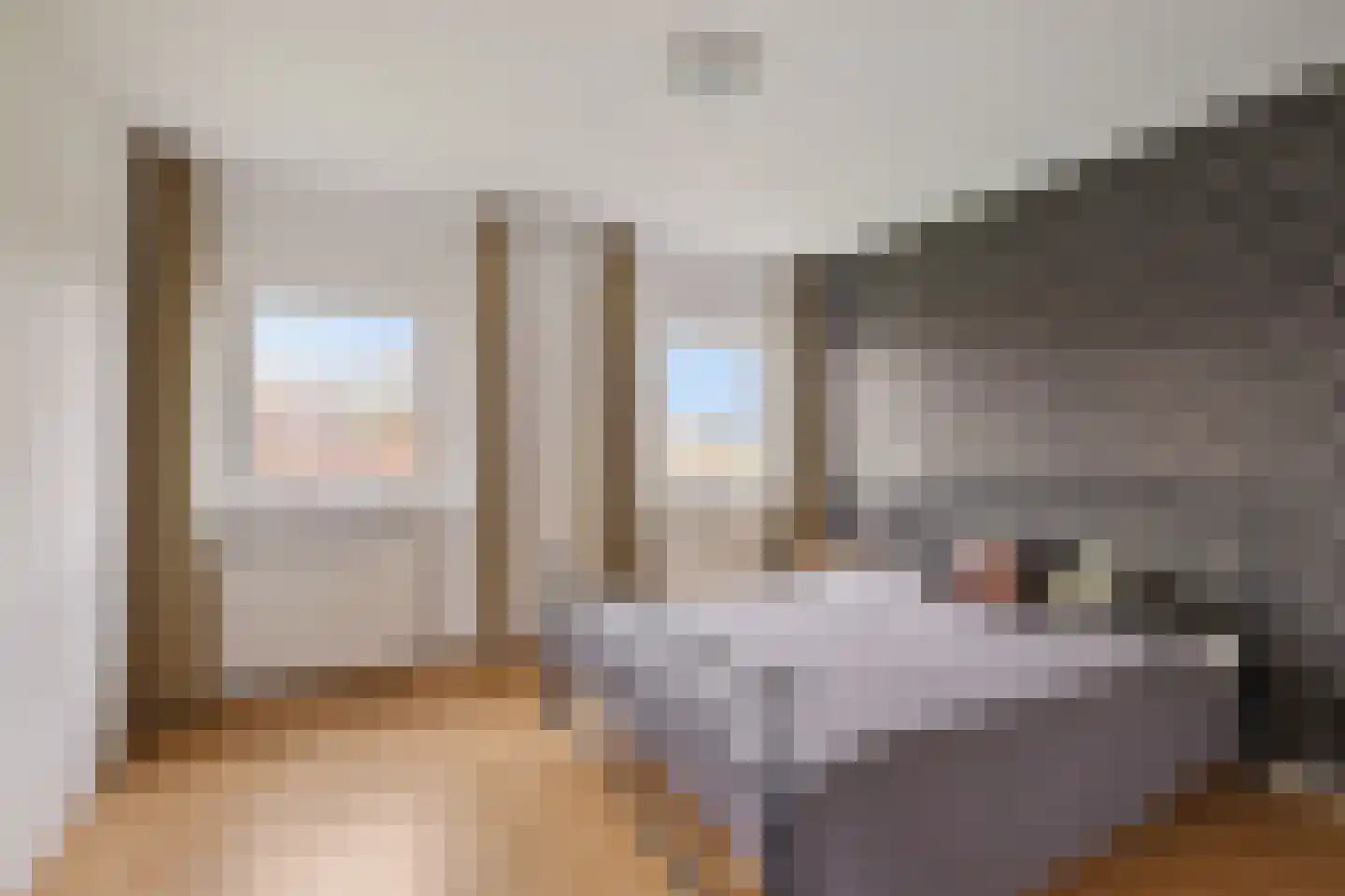 Spoorstrjitte 11 Deinum thumbnail 25