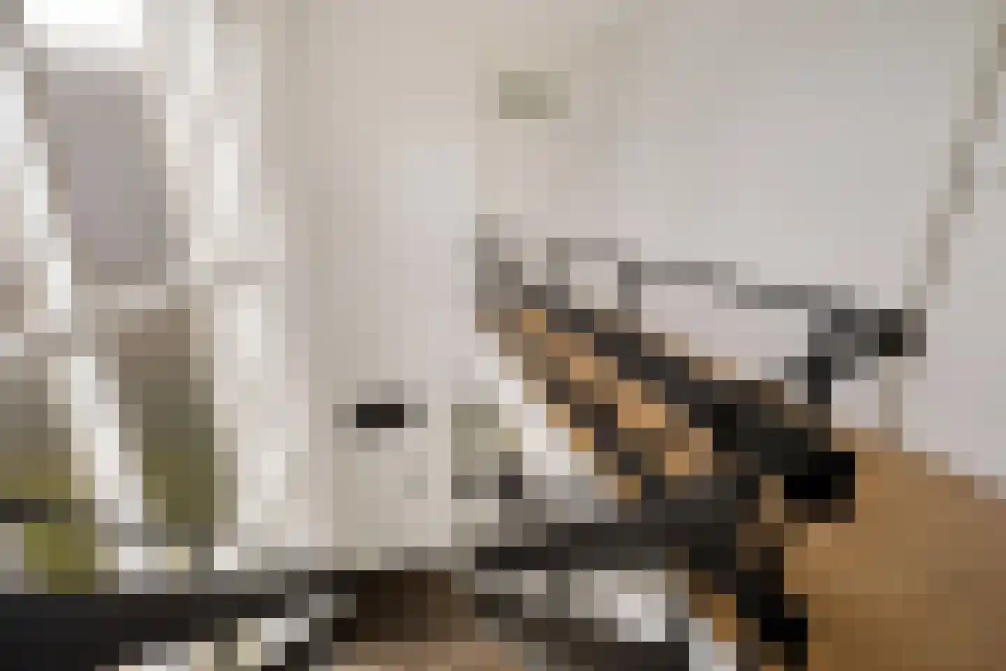 Spoorstrjitte 11 Deinum thumbnail 28