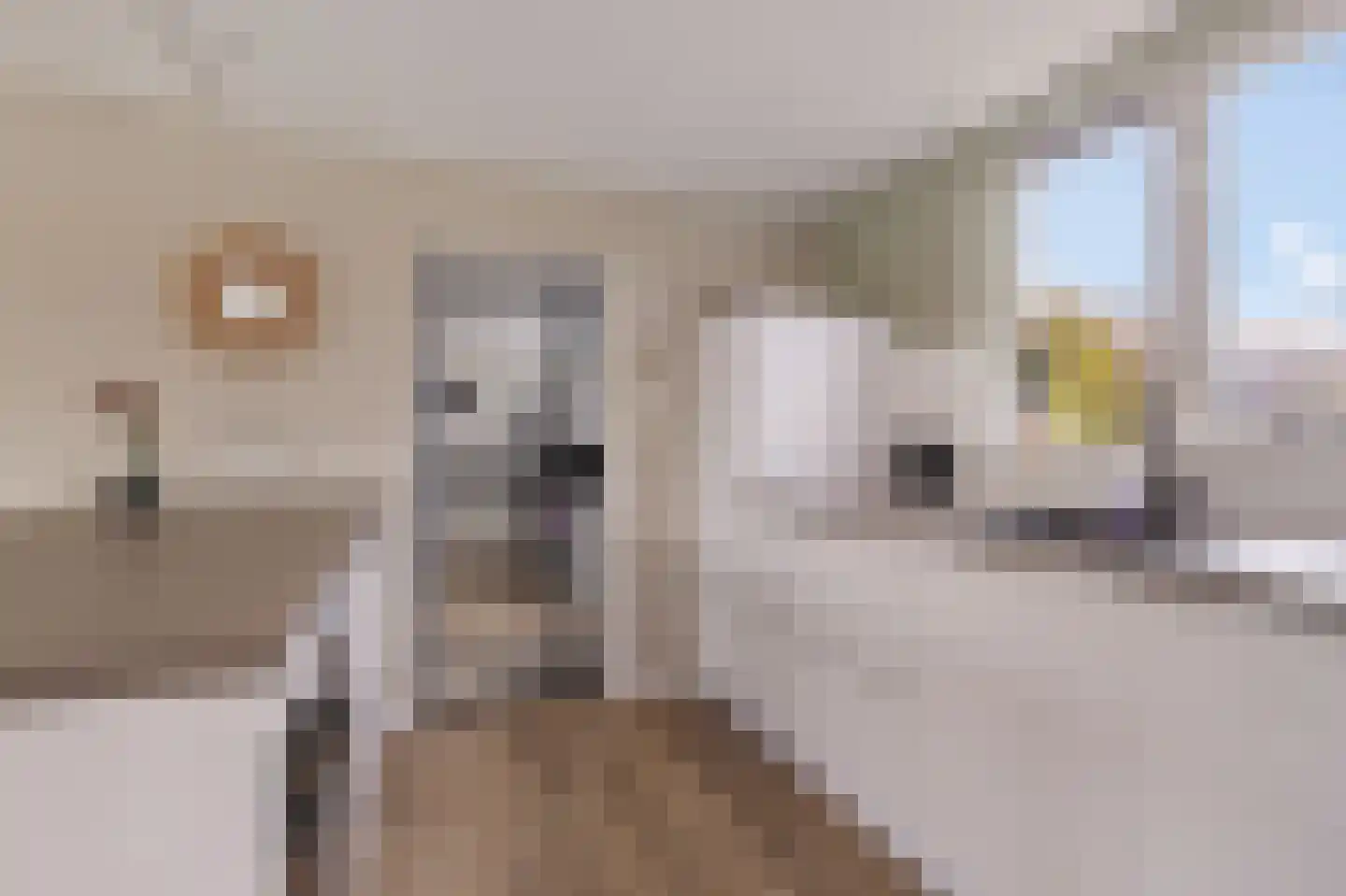 Spoorstrjitte 11 Deinum thumbnail 4