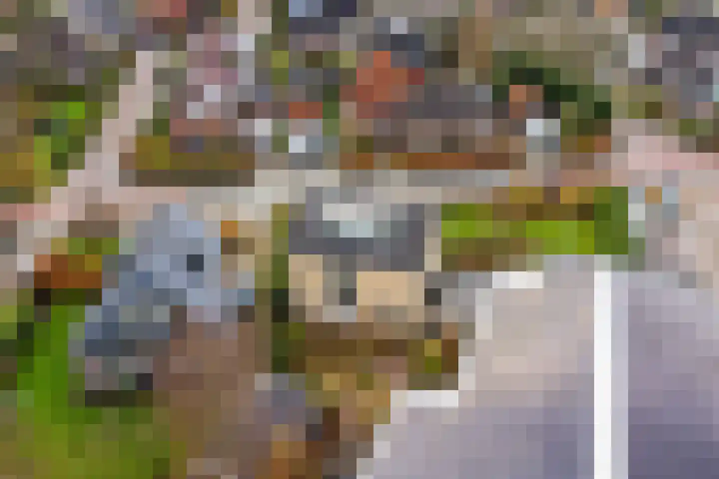 Spoorstrjitte 11 Deinum thumbnail 44