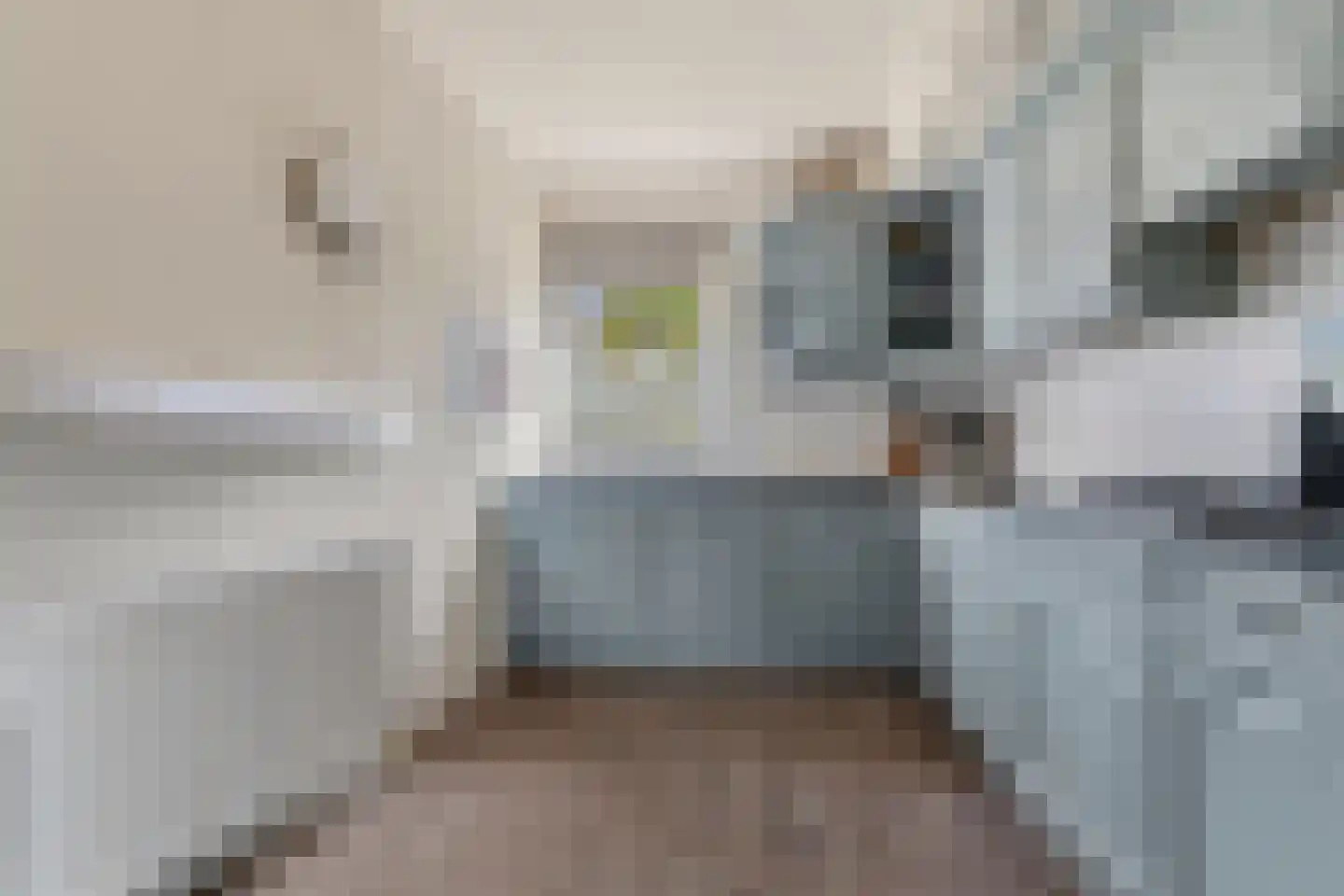 Spoorven 105 Veghel thumbnail 12
