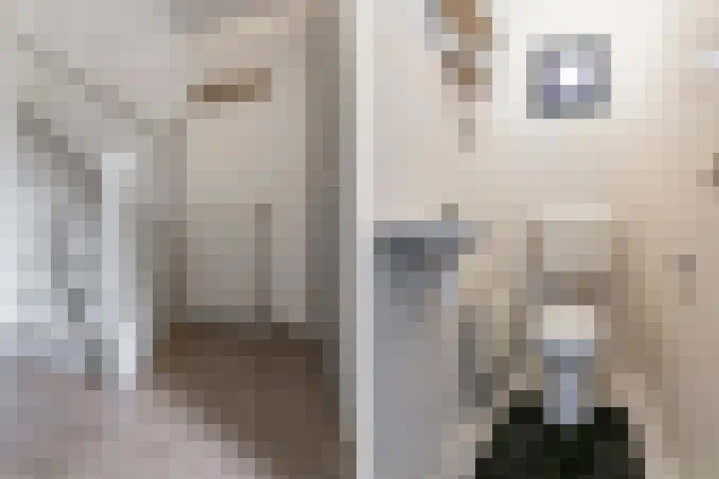 Spoorven 105 Veghel thumbnail 15