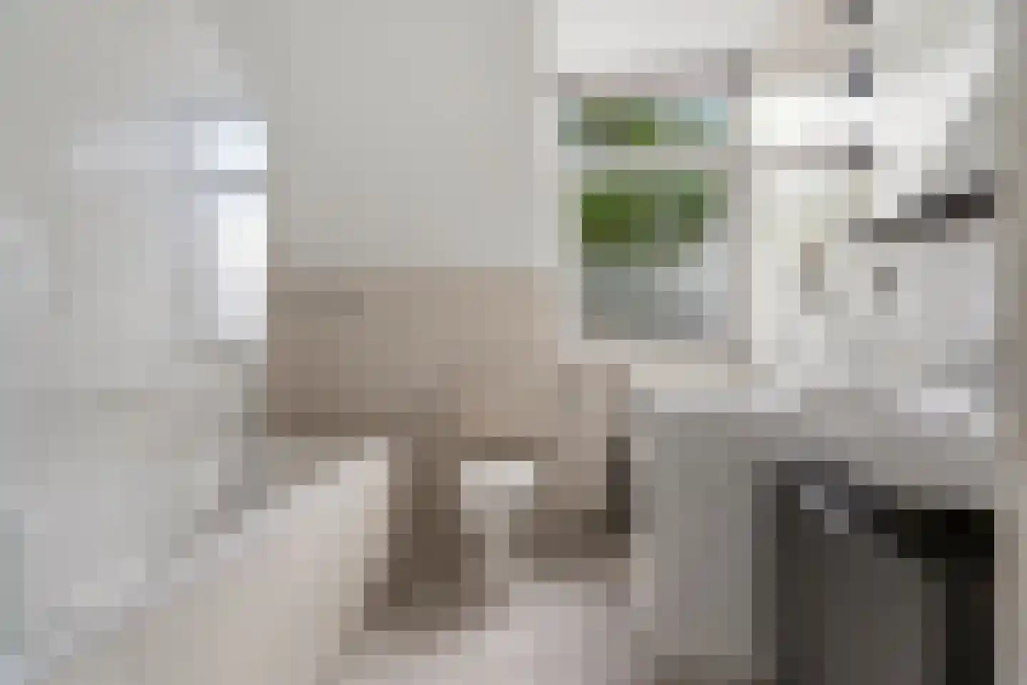 Spoorven 105 Veghel thumbnail 23
