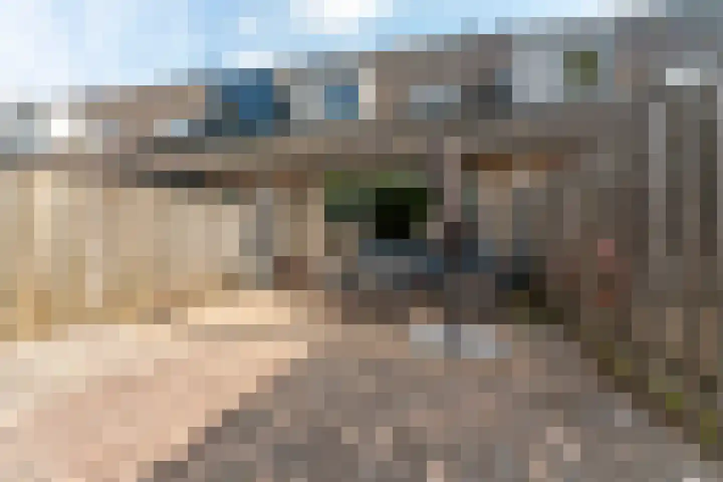 Spoorven 105 Veghel thumbnail 29
