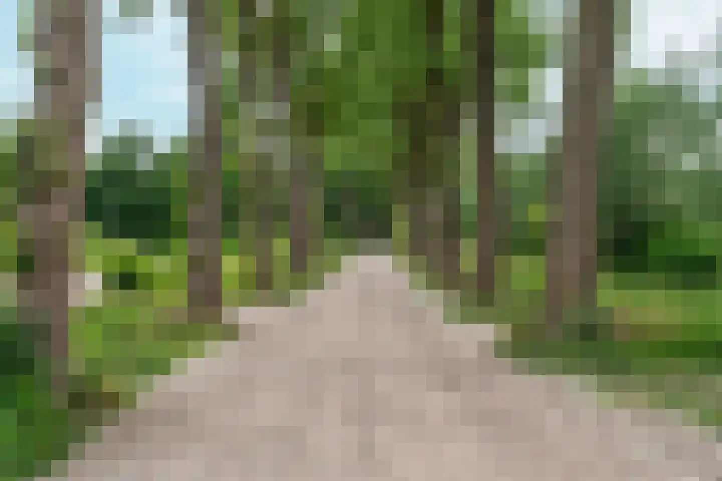 Spoorven 105 Veghel thumbnail 35