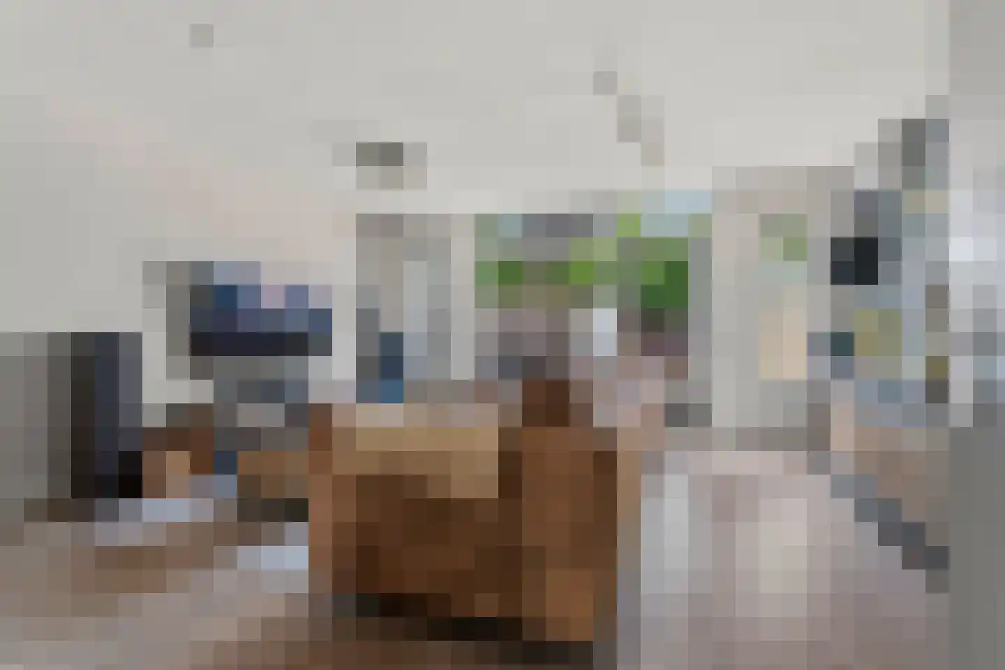 Spoorven 105 Veghel thumbnail 6