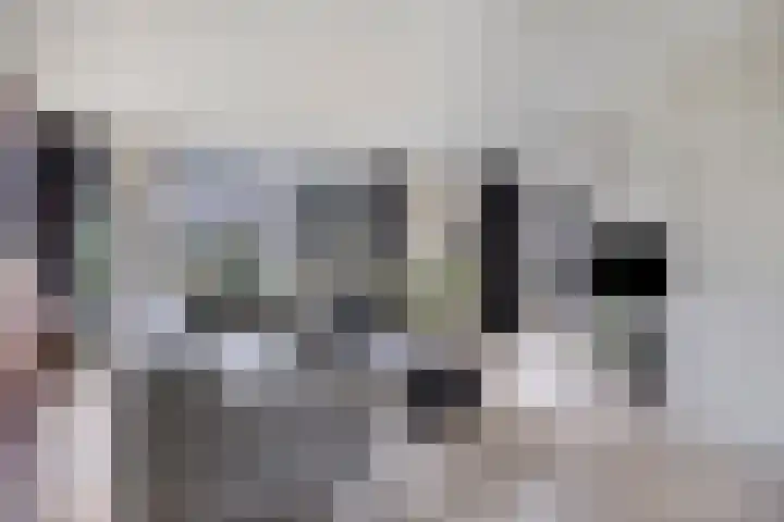 Spoorven 154 Veghel thumbnail 10