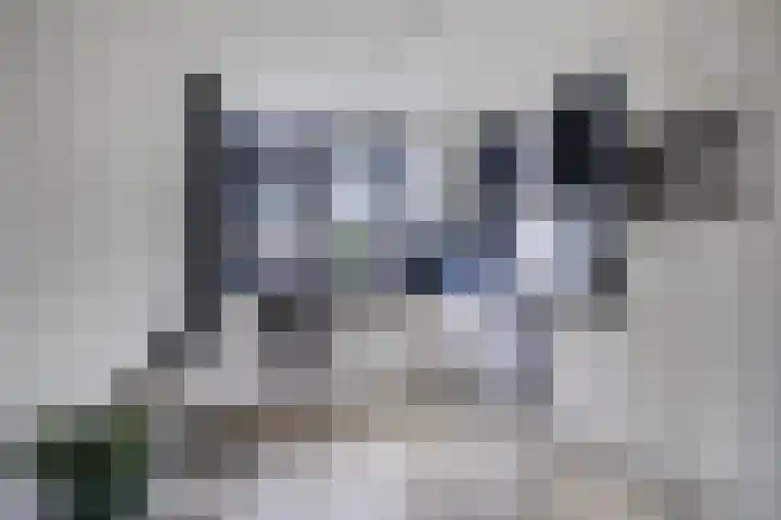 Spoorven 154 Veghel thumbnail 15