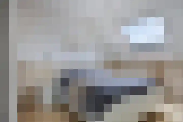 Spoorven 154 Veghel thumbnail 16