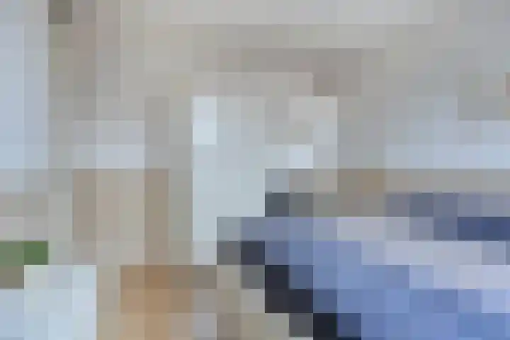 Spoorven 154 Veghel thumbnail 17