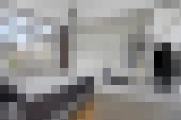 Spoorven 154 Veghel thumbnail 18