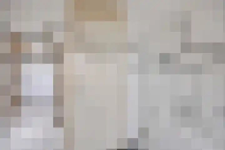 Spoorven 154 Veghel thumbnail 22