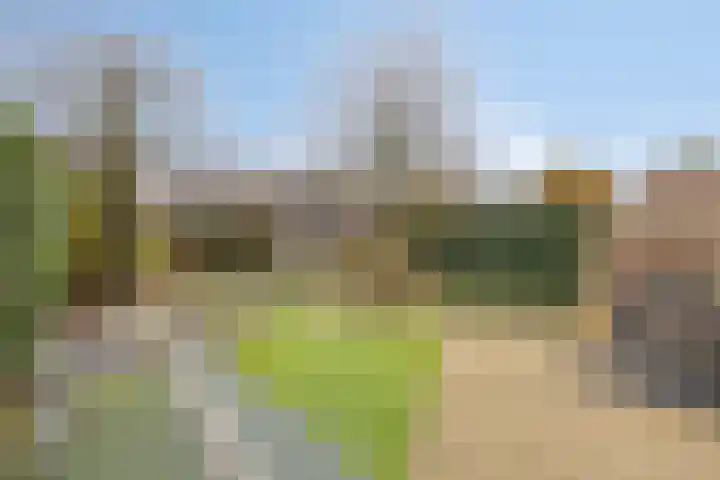 Spoorven 154 Veghel thumbnail 28