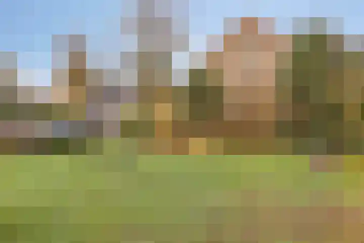 Spoorven 154 Veghel thumbnail 32