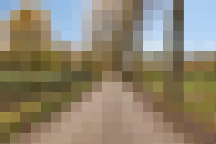 Spoorven 154 Veghel thumbnail 34