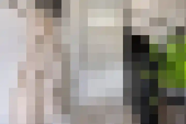 Spoorven 154 Veghel thumbnail 5