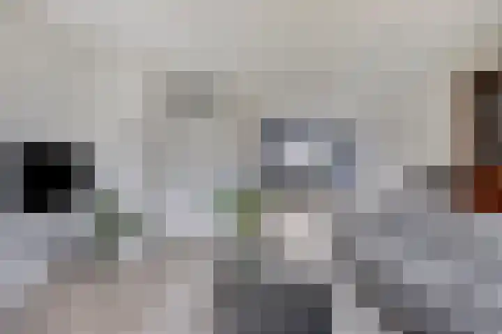 Spoorven 154 Veghel thumbnail 7