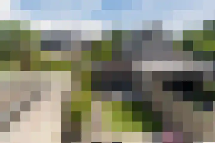 Spoorven 158 Veghel thumbnail 33