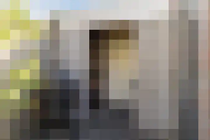 Spoorven 158 Veghel thumbnail 37