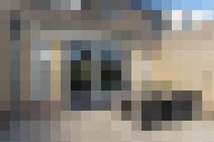 Spoorven 158 Veghel thumbnail 40