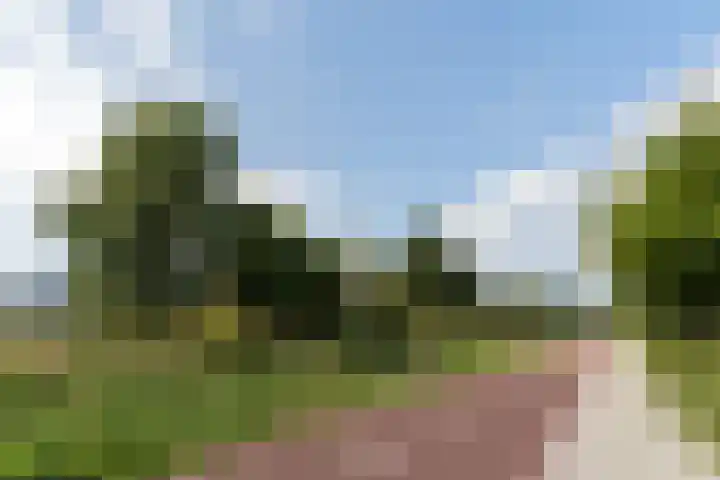 Spoorven 158 Veghel thumbnail 42