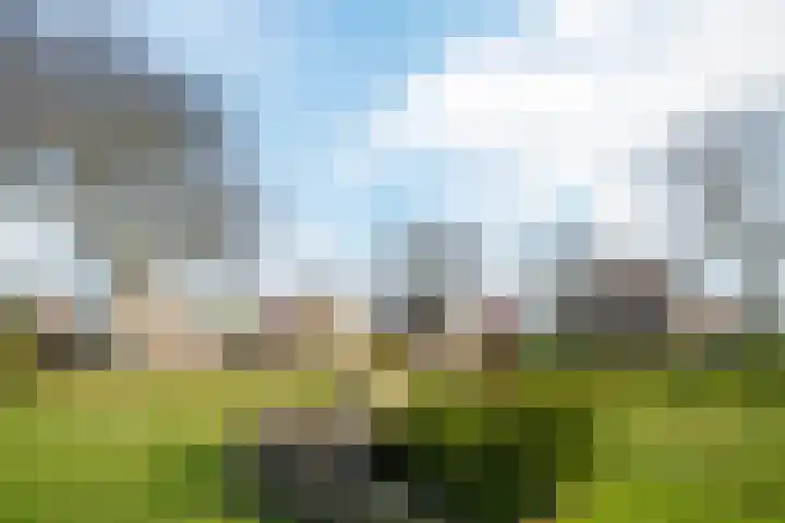 Spoorven 179 Veghel thumbnail 42