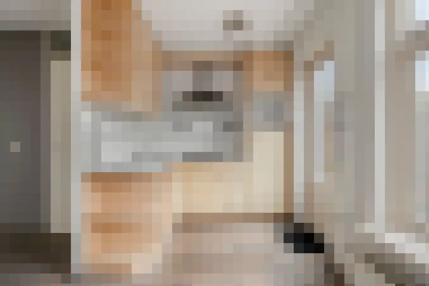 Spoorven 205 Veghel thumbnail 13