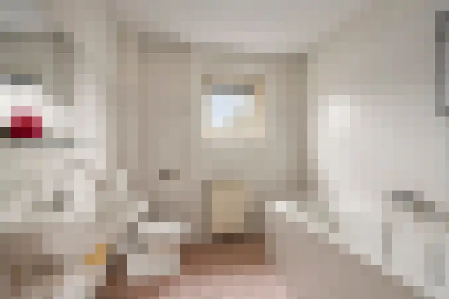 Spoorven 205 Veghel thumbnail 21