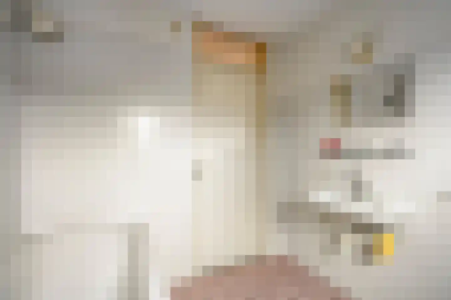 Spoorven 205 Veghel thumbnail 22