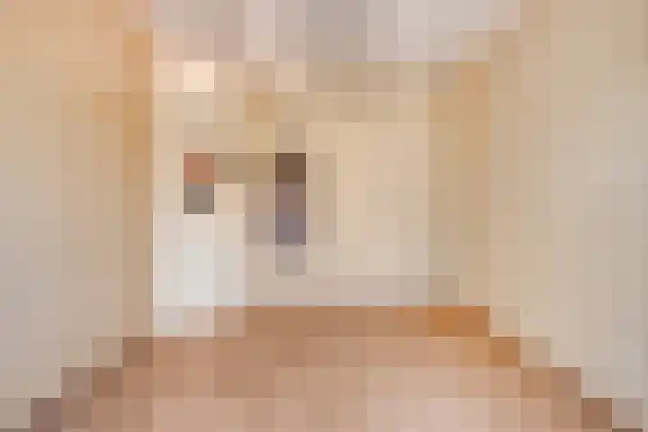 Spoorven 207 Veghel thumbnail 14