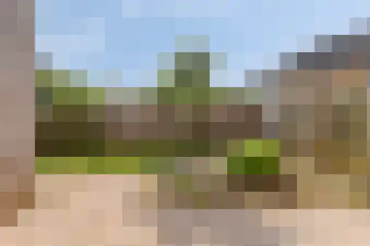 Spoorven 207 Veghel thumbnail 21