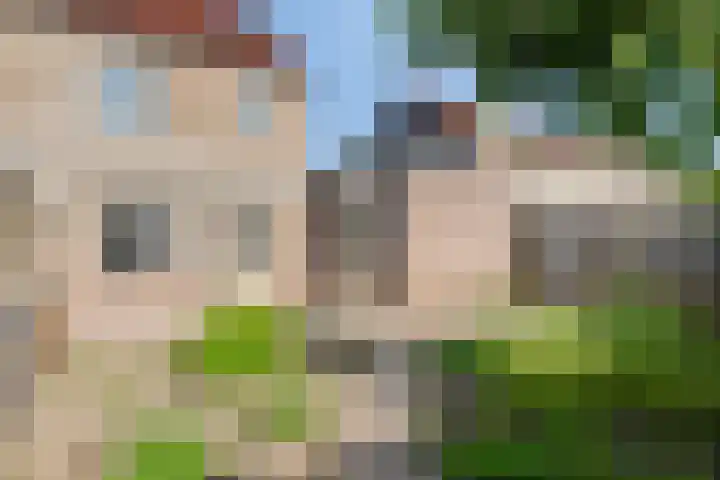 Spoorven 207 Veghel thumbnail 22