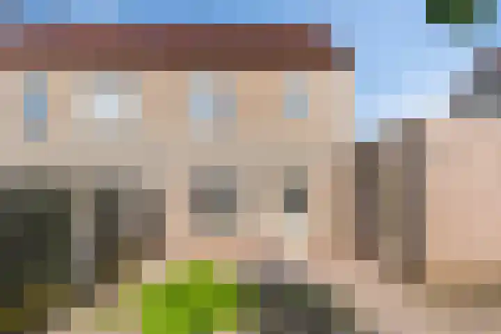 Spoorven 207 Veghel thumbnail 23