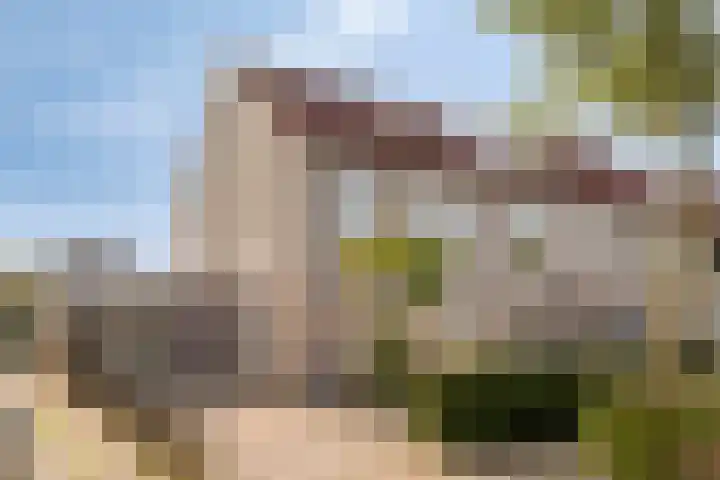 Spoorven 207 Veghel thumbnail 29