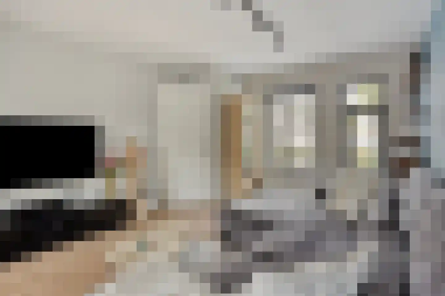 Spoorven 208 Veghel thumbnail 10