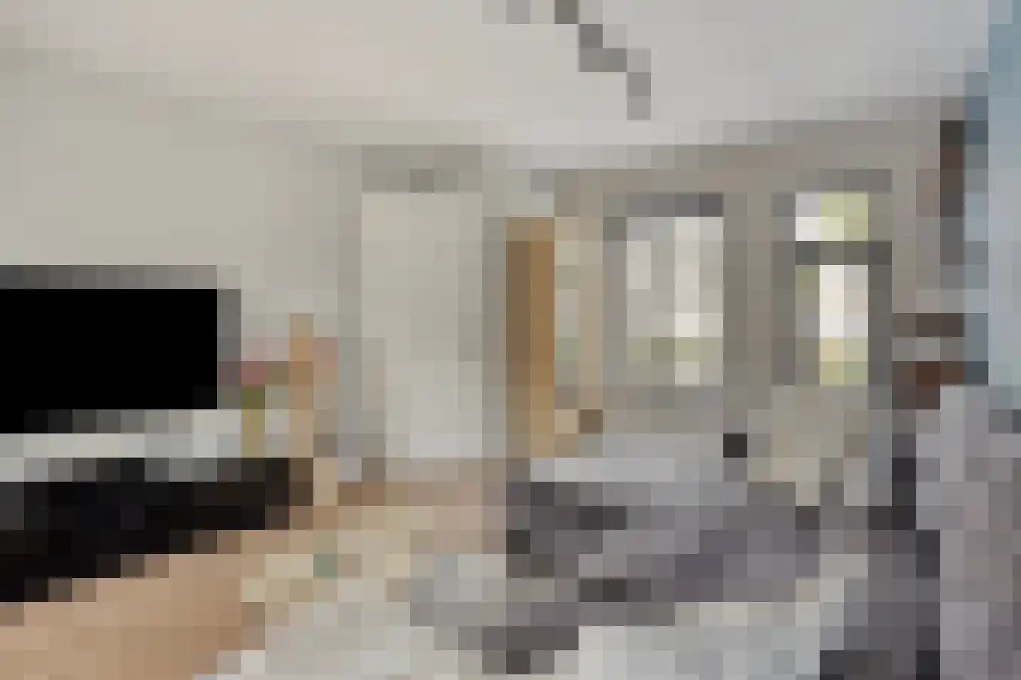Spoorven 208 Veghel thumbnail 11