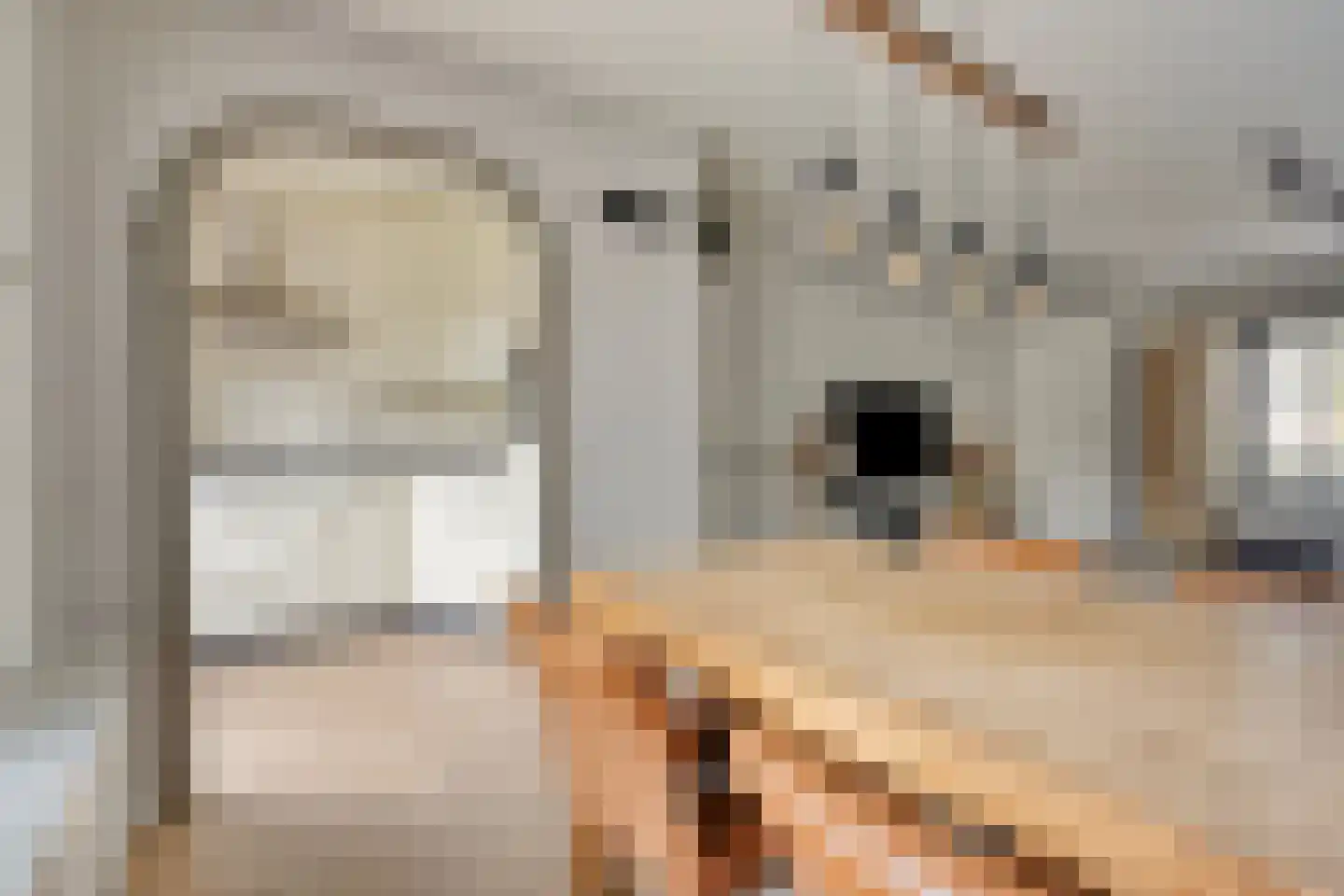 Spoorven 208 Veghel thumbnail 12