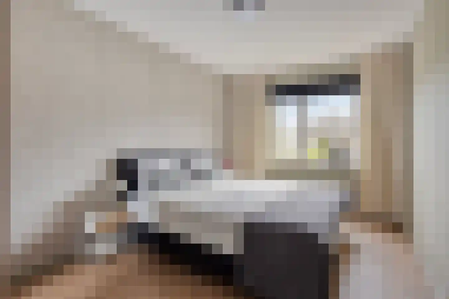 Spoorven 208 Veghel thumbnail 19