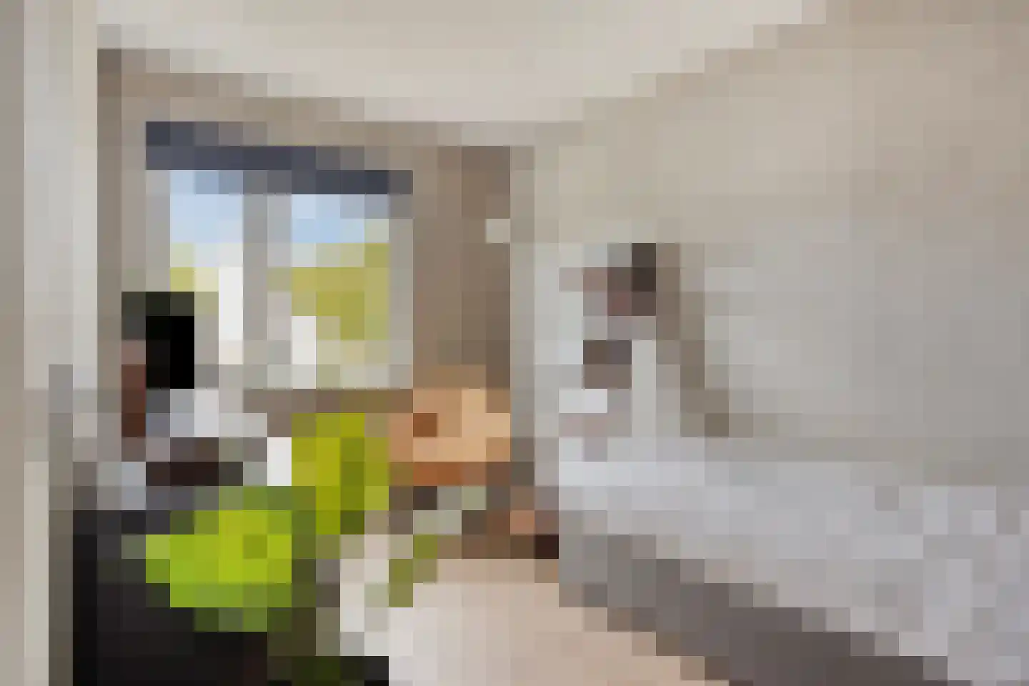 Spoorven 208 Veghel thumbnail 21