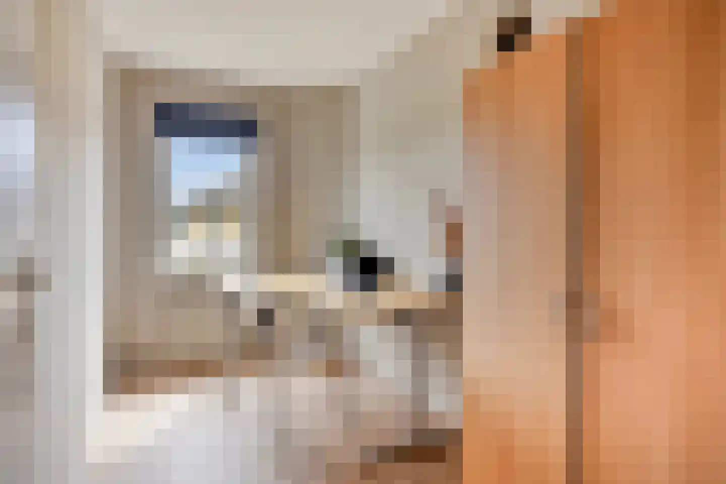 Spoorven 208 Veghel thumbnail 22