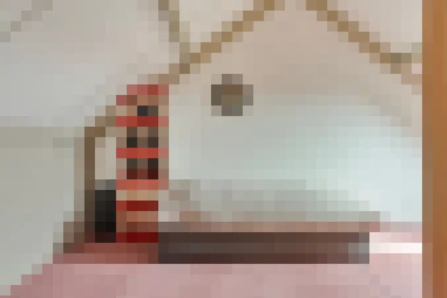 Spoorven 208 Veghel thumbnail 24