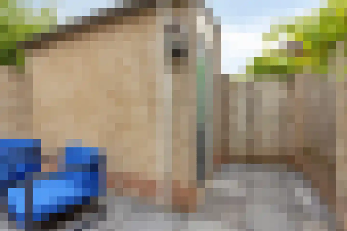 Spoorven 208 Veghel thumbnail 28