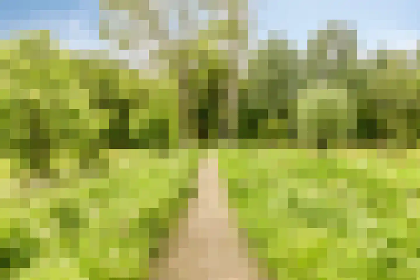 Spoorven 208 Veghel thumbnail 33