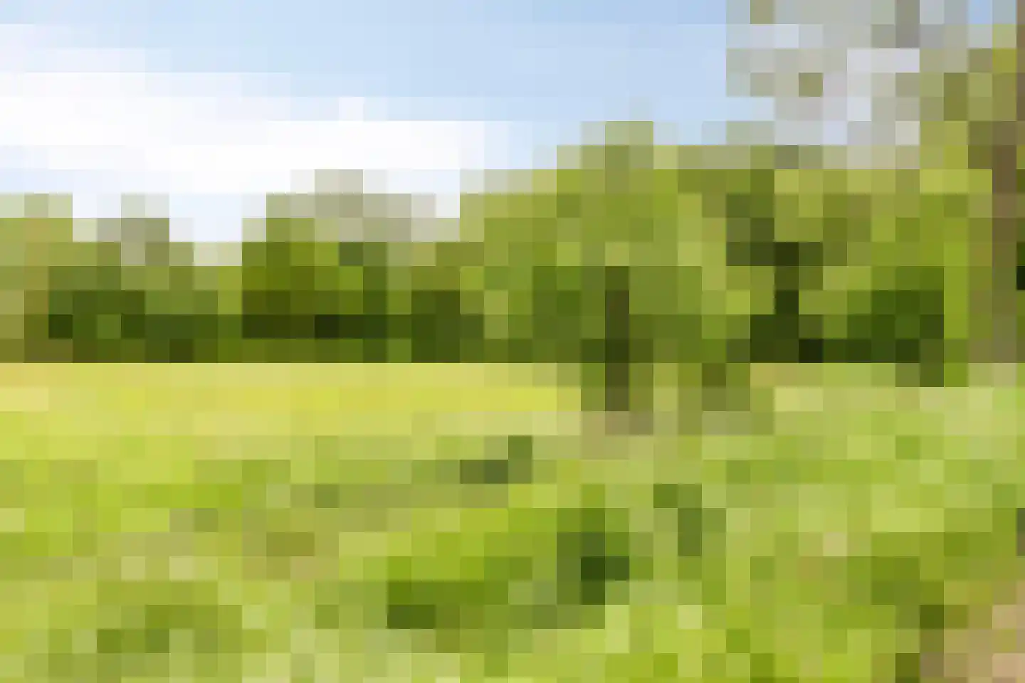 Spoorven 208 Veghel thumbnail 34